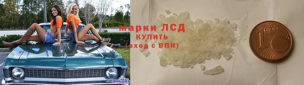 PSILOCYBIN Балабаново