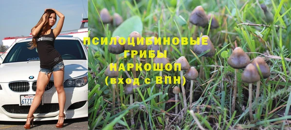 не бодяженный Аркадак