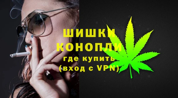 PSILOCYBIN Балабаново