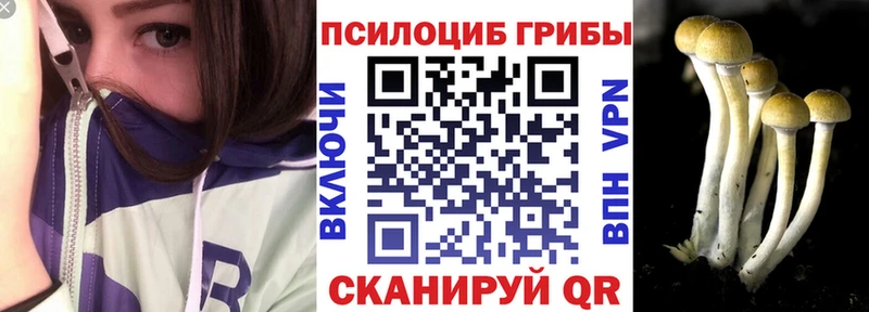 Псилоцибиновые грибы Magic Shrooms цена Кологрив